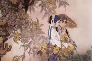 陆少找错人 陆少虐错了夫人才是你的白月光短剧抢先看完整版 --第1张