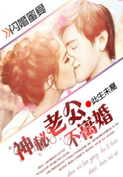 闪婚成宠，陆先生对恋爱过敏--第1张