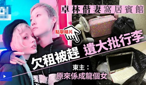 惹上我就别想逃 惹上叶少别想逃短剧抢先看完整版 --第1张