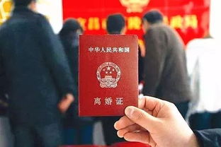 影后老婆离婚后我火遍全网短剧抢先看完整版 影后老婆求领证全文免费阅读 --第1张