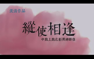 纵使相逢应不识短剧抢先看完整版 纵使相逢应不识免费阅读 --第1张