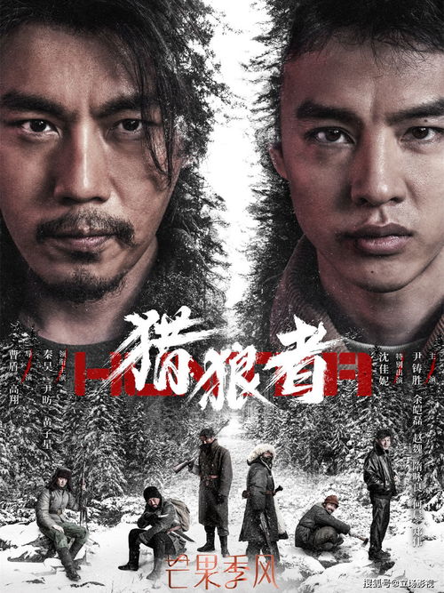再见陆先生短剧抢先看完整版免费，一段深情告别的人生之旅--第1张
