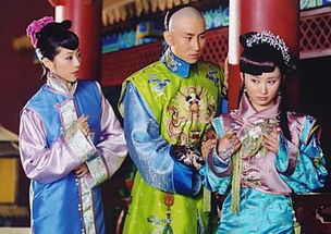 皇太子监国抢先看完整版，皇太子剧集新篇章--第1张