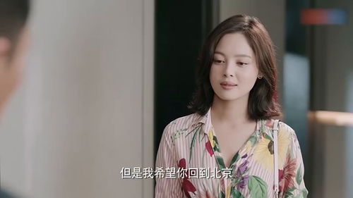 离婚后的前妻小说 离婚后高傲前妻悔恨终身短剧抢先看完整版 --第1张