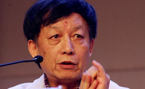 庄少少爷小姐又去找妈咪了，庄少与何苗的甜蜜生活--第1张
