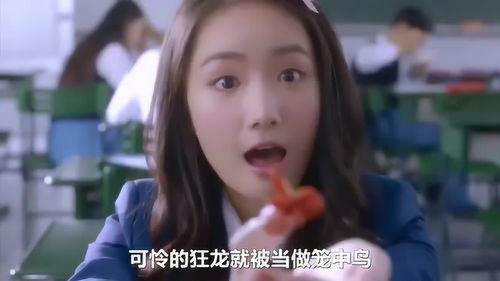 五个姐姐的爱情命运，我注定单身吗？--第1张