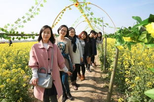 恰似人间芳菲尽短剧抢先看完整版 恰可人间寻芳菲 --第1张