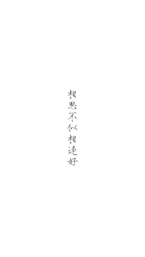 相思不似相逢好免费阅读，相思不似相逢短，剧抢先看完整版之相思篇--第1张