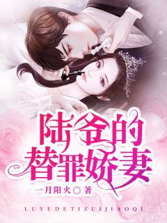 陆少的隐婚免费阅读 陆少的错爱隐妻短剧抢先看完整版 --第1张