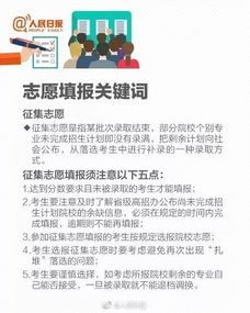 傻子学霸，震惊全球高考短剧完整版--第1张