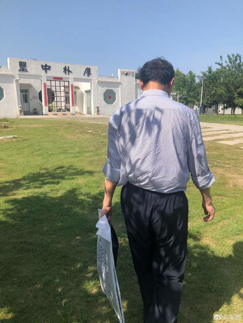 悔婚后我变成陆总的心尖宠短剧抢先看完整版 悔婚之后 --第1张