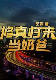 修仙归来当奶爸，从仙界回归，秒变人生赢家--第1张