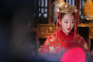 落跑新娘嫁对郎短剧抢先看完整版 落跑新娘嫁对郎短剧抢先看完整版百度云 --第1张