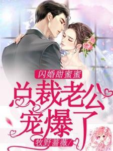 闪婚老公他当真了，总裁，请多指教--第1张