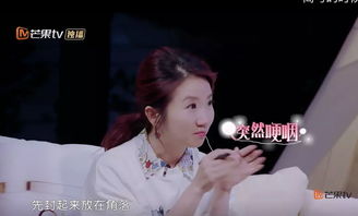 霍总,夫人逃婚了 霍总夫人让您闭嘴，热播短剧资讯 --第1张