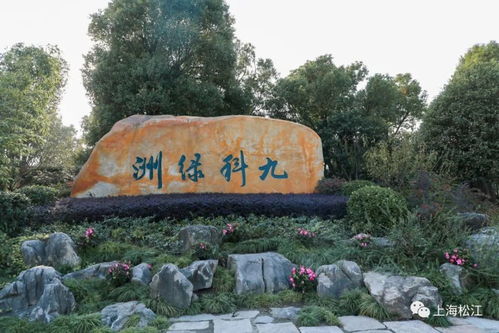  师傅我要回山，热播短剧资讯大揭秘 --第1张