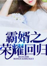 霸婿小说，婿霸天下，一部热播短剧的魅力与启示--第1张