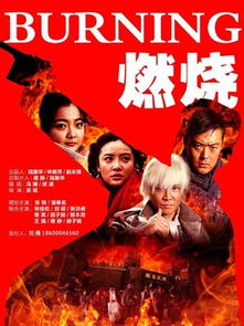 婚姻燃烧，大结局--第1张