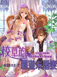 高手下山，退婚九个未婚妻小说资讯--第1张