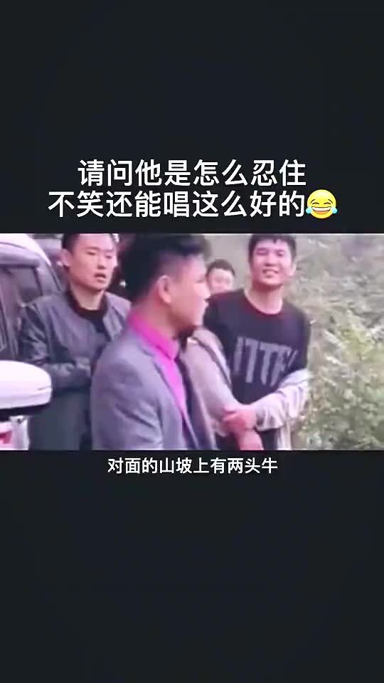 打工人的巅峰人生短剧最新资讯 打工人经典 --第1张