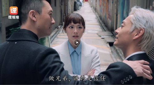 乔爷撒个娇短剧最新动态，最新资讯视频--第1张