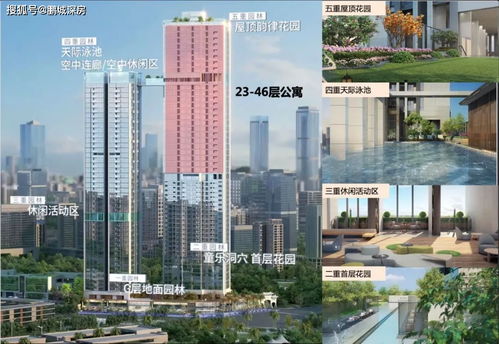 闪婚老公是亿万富翁短剧热议，小说免费阅读--第1张