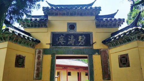 风起南城讲的什么 风起南城短剧最新资讯 --第1张