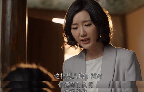 离婚后复仇前妻短剧最新资讯 离婚后复仇前妻短剧最新资讯在线观看 --第1张