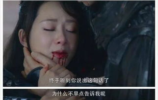 季总别虐了，舒小姐嫁人了，后悔了吗？--第1张