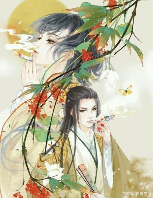 权宠医妃短剧版预告，权宠医妃最新动态--第1张