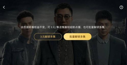 技师豪婿，待遇揭秘--第1张