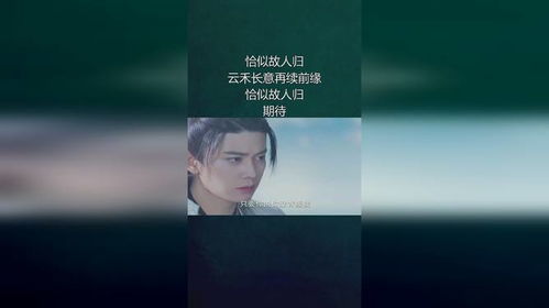 恰似故人归短剧最新资讯--第1张