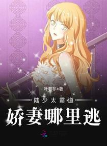 陆总的漫漫追妻路陆少的霸爱小娇妻＆腹黑陆少太撩人短剧全集免费观看资讯  --第1张