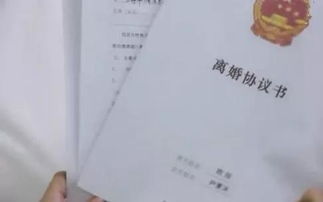 郁总离婚协议请签收短剧全集免费观看资讯 郁总 夫人送来了离婚书 --第1张