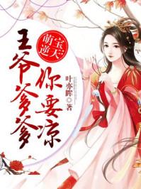 天降萌娃免费阅读 天降萌娃王爷请接招短剧全集免费观看资讯 --第1张