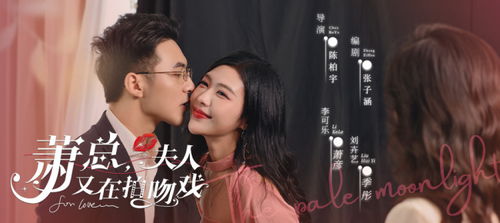 顾总夫人又作死了免费观看资讯--第1张
