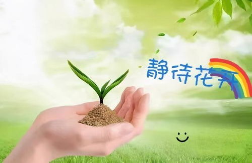 时光清浅，静待花开，全集免费观看资讯短剧全集免费观看--第1张