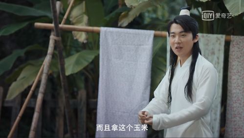 赘婿归来原班人马短剧全集免费观看资讯--第1张