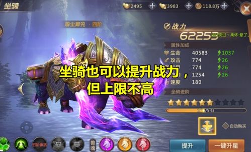 绝世强龙之王者之风免费观看资讯--第1张