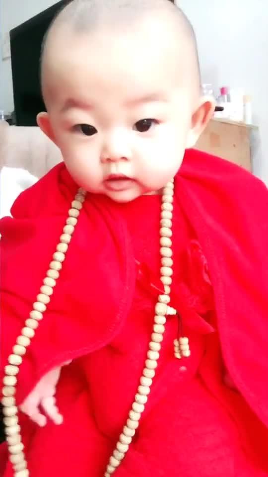 女王呆萌小和尚免费观看资讯，短剧全集，呆萌可爱，不容错过！--第1张