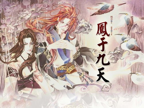 凤掌花图片大全，凤掌九天短剧全集免费观看资讯--第1张