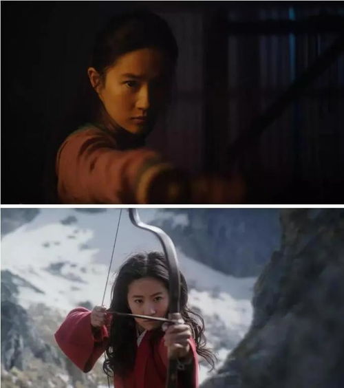 巾帼老妈短剧全集免费观看资讯 巾帼老妈短剧全集免费观看资讯 --第1张