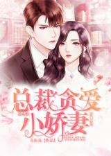 陆少小说，陆少的在逃小娇妻短剧全集免费观看资讯--第1张