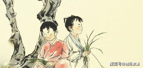 南风知意等君来，全集免费观看资讯--第1张