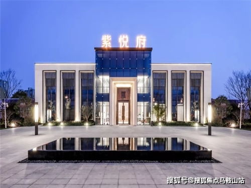 容少,夫人又又又黑化了! 容少夫人又又又逃了短剧全集免费观看资讯 --第1张