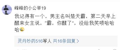 霍总急疯了，郑晨雨短剧全集免费观看资讯--第1张