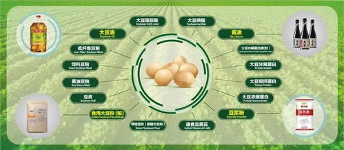 回村的诱惑剧本杀简述复盘 回村的诱惑，一场乡村生活的深度体验 --第1张