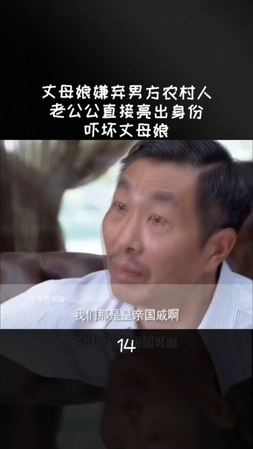 富豪身份被丈母娘发现的烦恼--第1张
