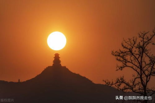 来时路 归去途图片 来时有归途短剧全集免费观看资讯 --第1张