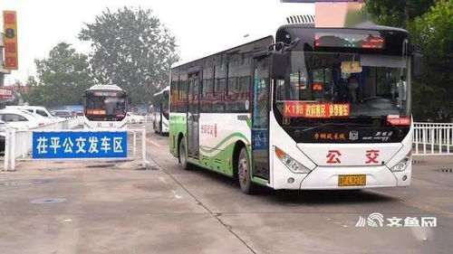 神都龙主短剧全集免费观看资讯，免费观看神都龙主短剧全集的最新动态--第1张